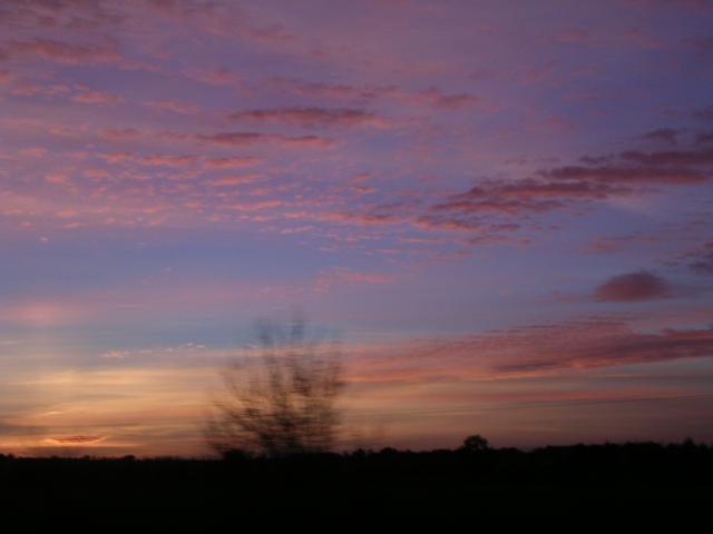 dscn0780.jpg
