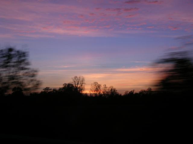 dscn0782.jpg