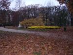 dscn0650.jpg