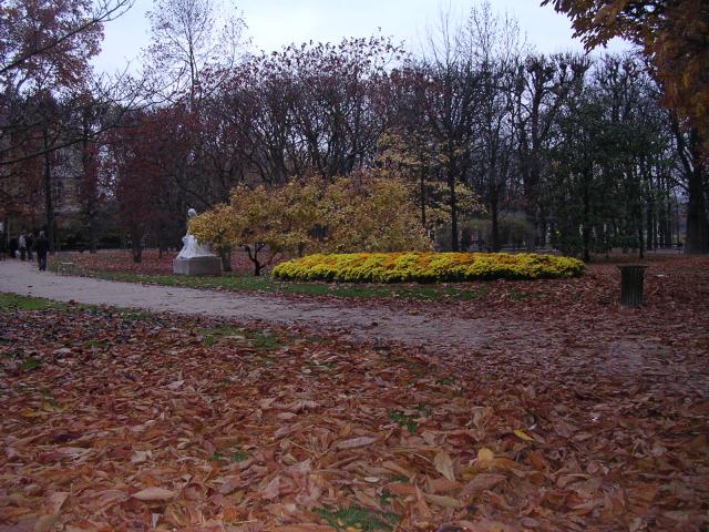 dscn0650.jpg