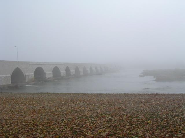 dscn0690.jpg