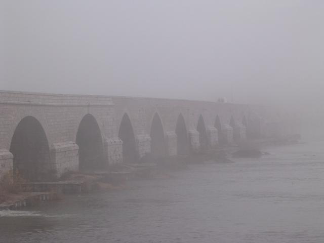 dscn0694.jpg
