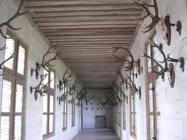 dscn0729.jpg