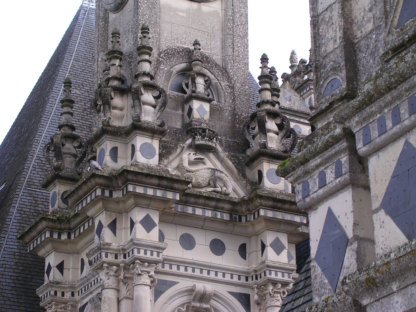 dscn0737.jpg