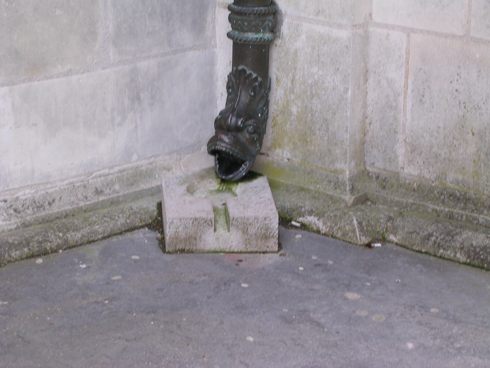 dscn0743.jpg