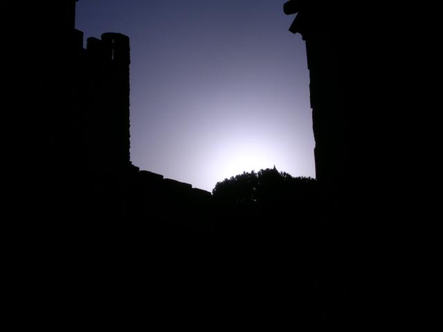 dscn0877.jpg