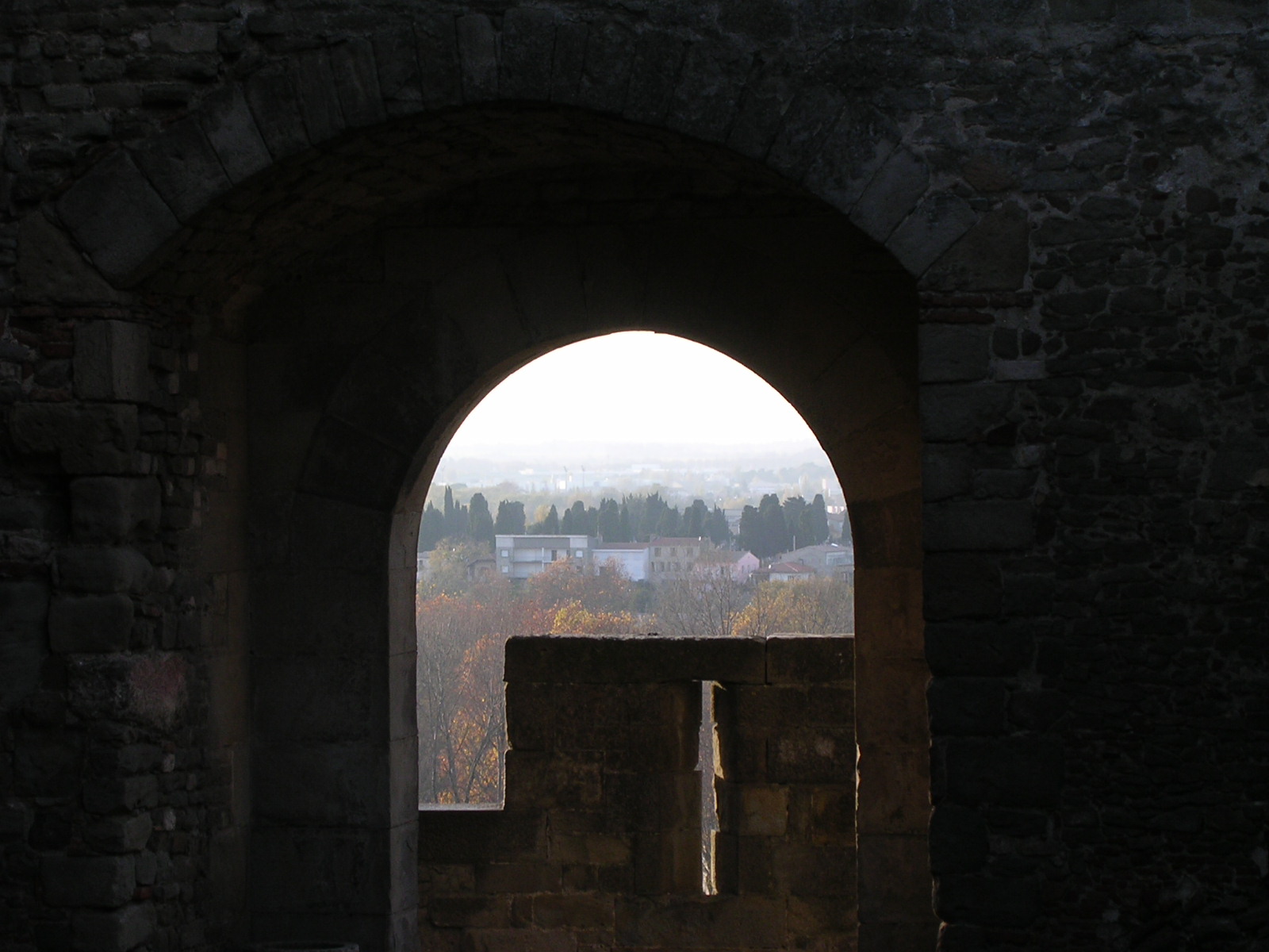 dscn0881.jpg