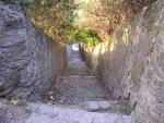 dscn0885.jpg