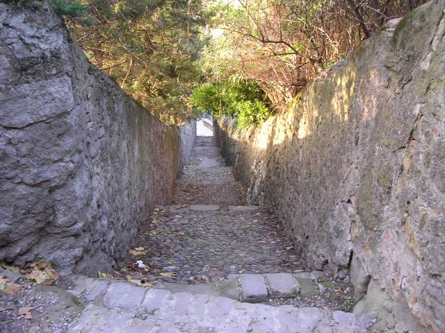 dscn0885.jpg