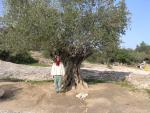 dscn0888.jpg