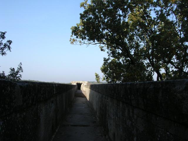 dscn0893.jpg