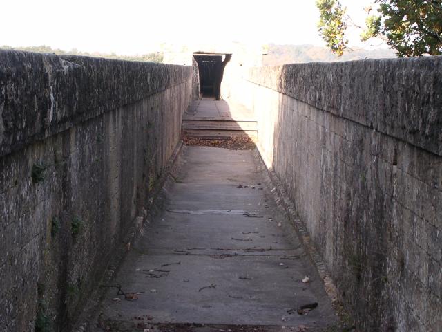 dscn0894.jpg