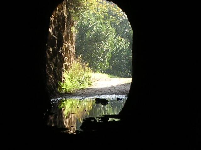 dscn0895.jpg