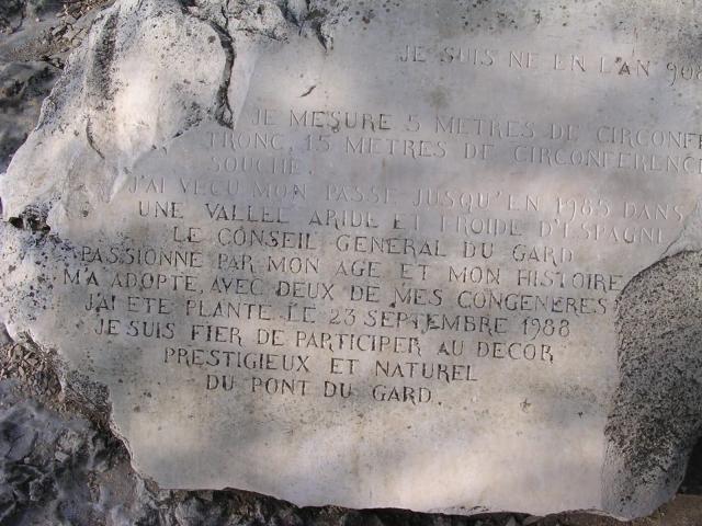 dscn0898.jpg