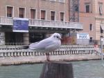 dscn1890.jpg