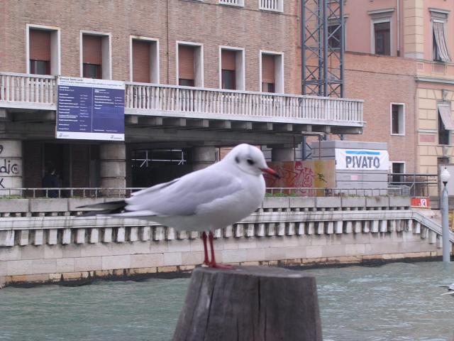 dscn1890.jpg