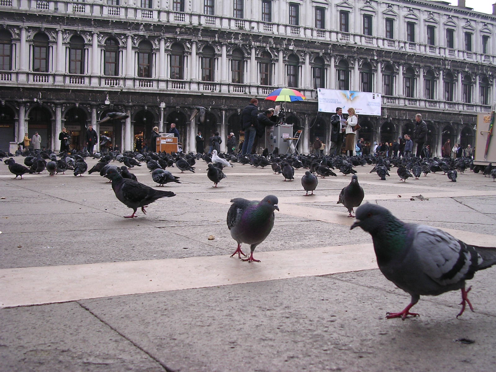 dscn1917.jpg