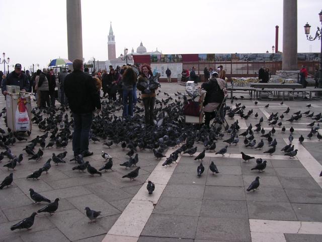 dscn1922.jpg