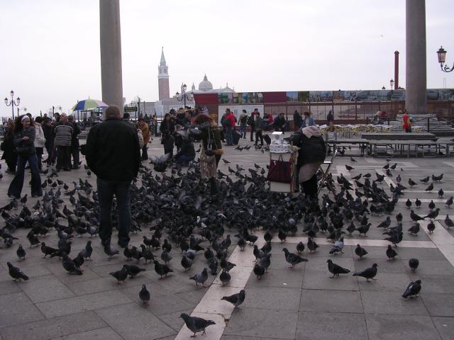 dscn1923.jpg