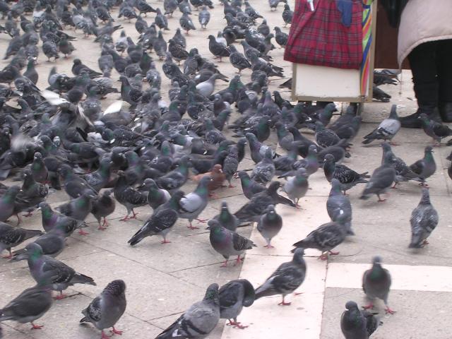 dscn1925.jpg