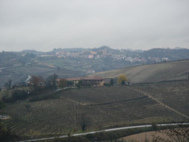 PICT0001.jpg