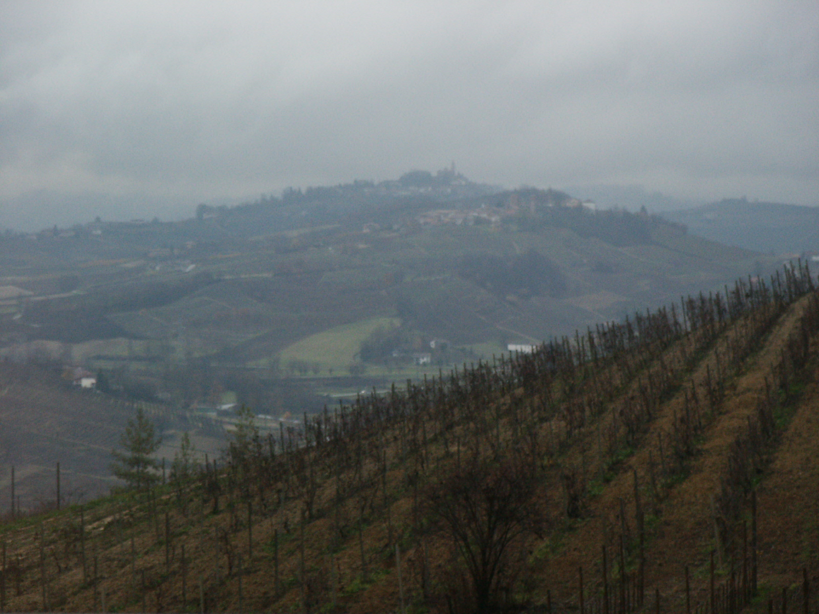 PICT0002.jpg