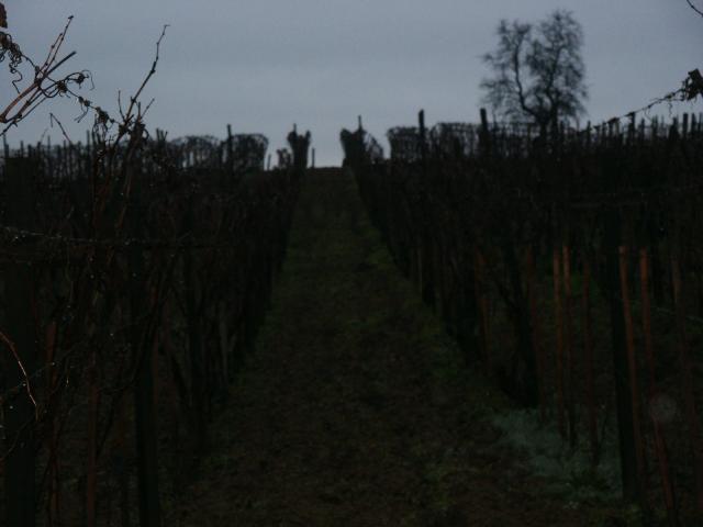 PICT0004.jpg