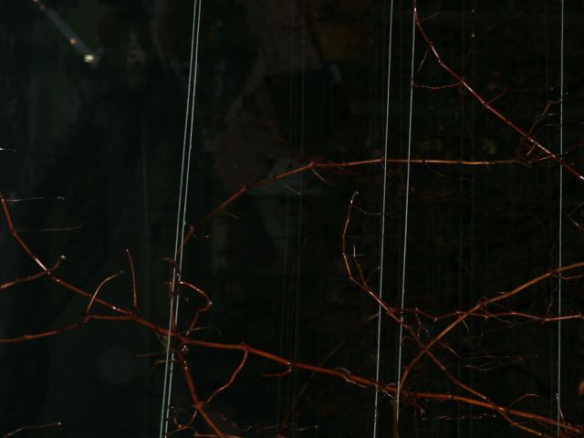 PICT0007.jpg