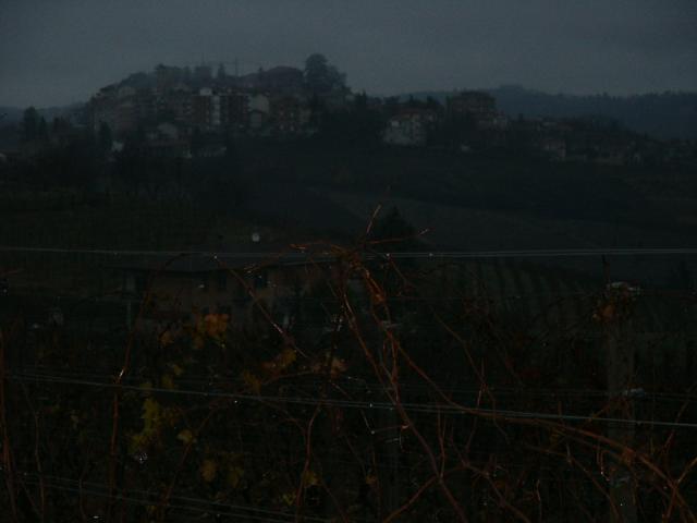 PICT0010.jpg