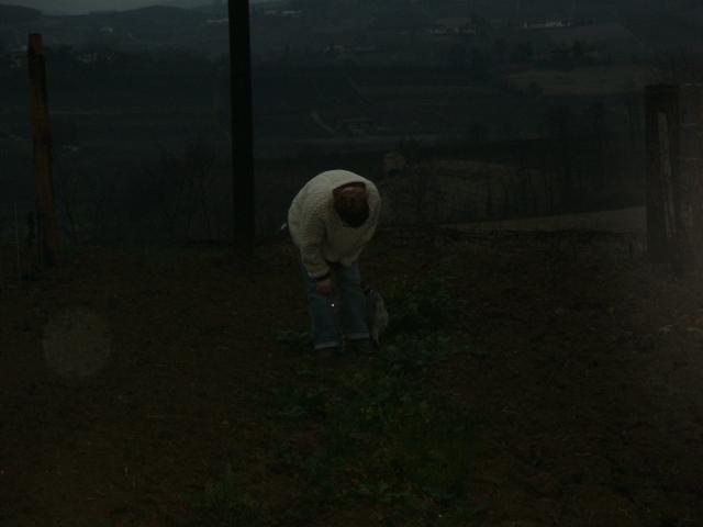 PICT0011.jpg
