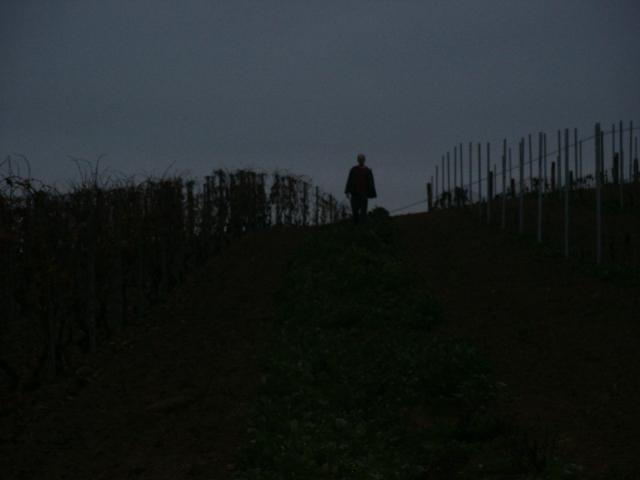 PICT0012.jpg