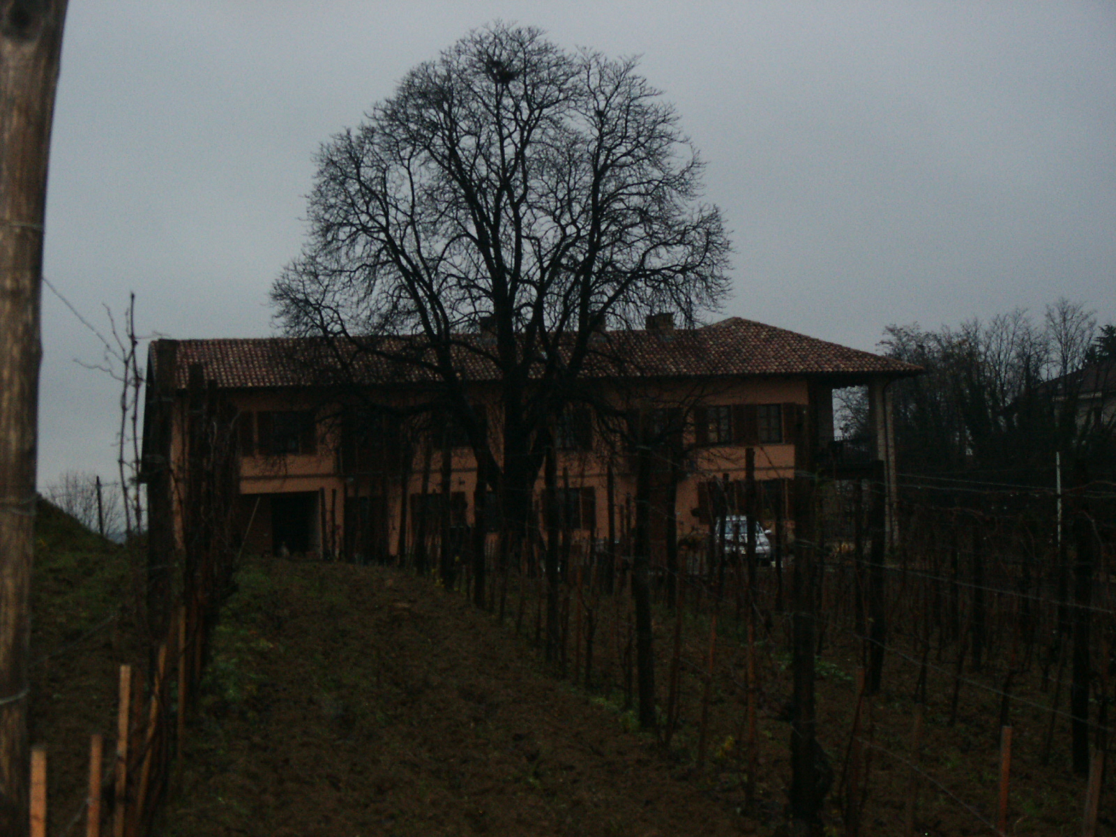 PICT0014.jpg