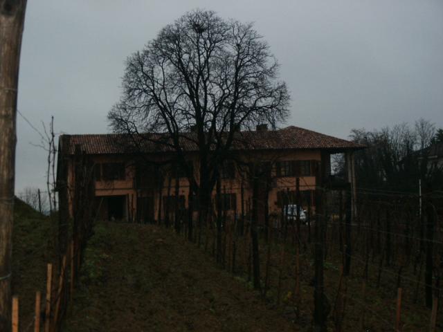 PICT0014.jpg