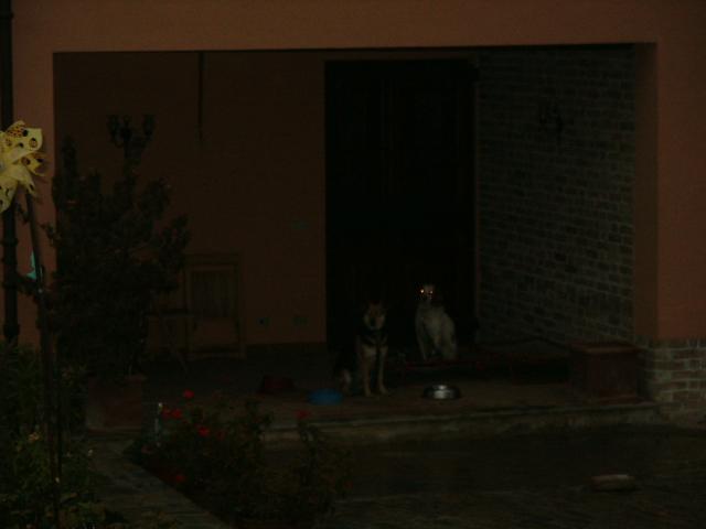 PICT0016.jpg