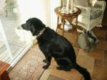 PICT0027.jpg