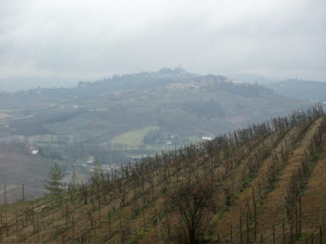 apart_vineyard1.jpg
