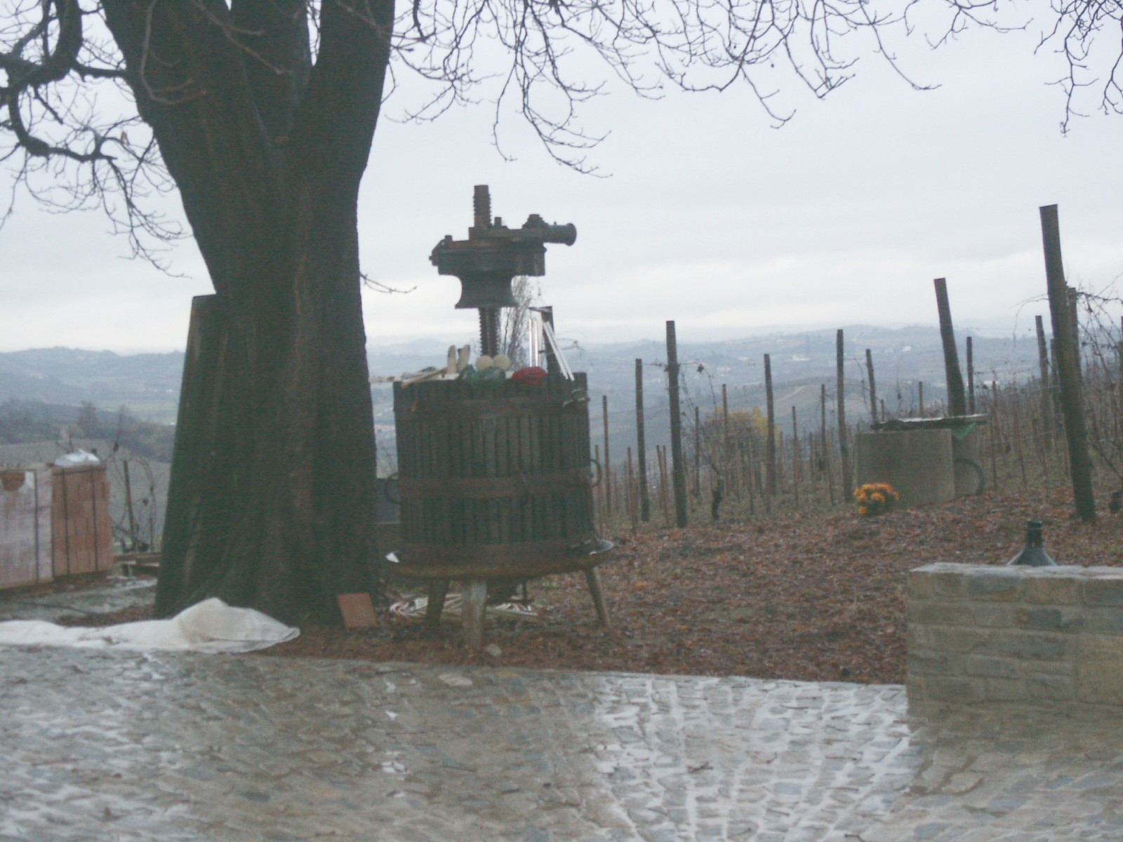 winepress.jpg