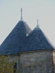 carcosone_rooftops1.jpg