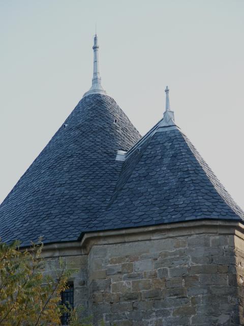 carcosone_rooftops1.jpg