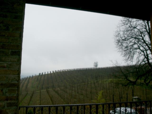 apartment_view3.jpg