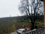 apartment_view4.jpg