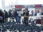 venice_pigeonwoman.jpg