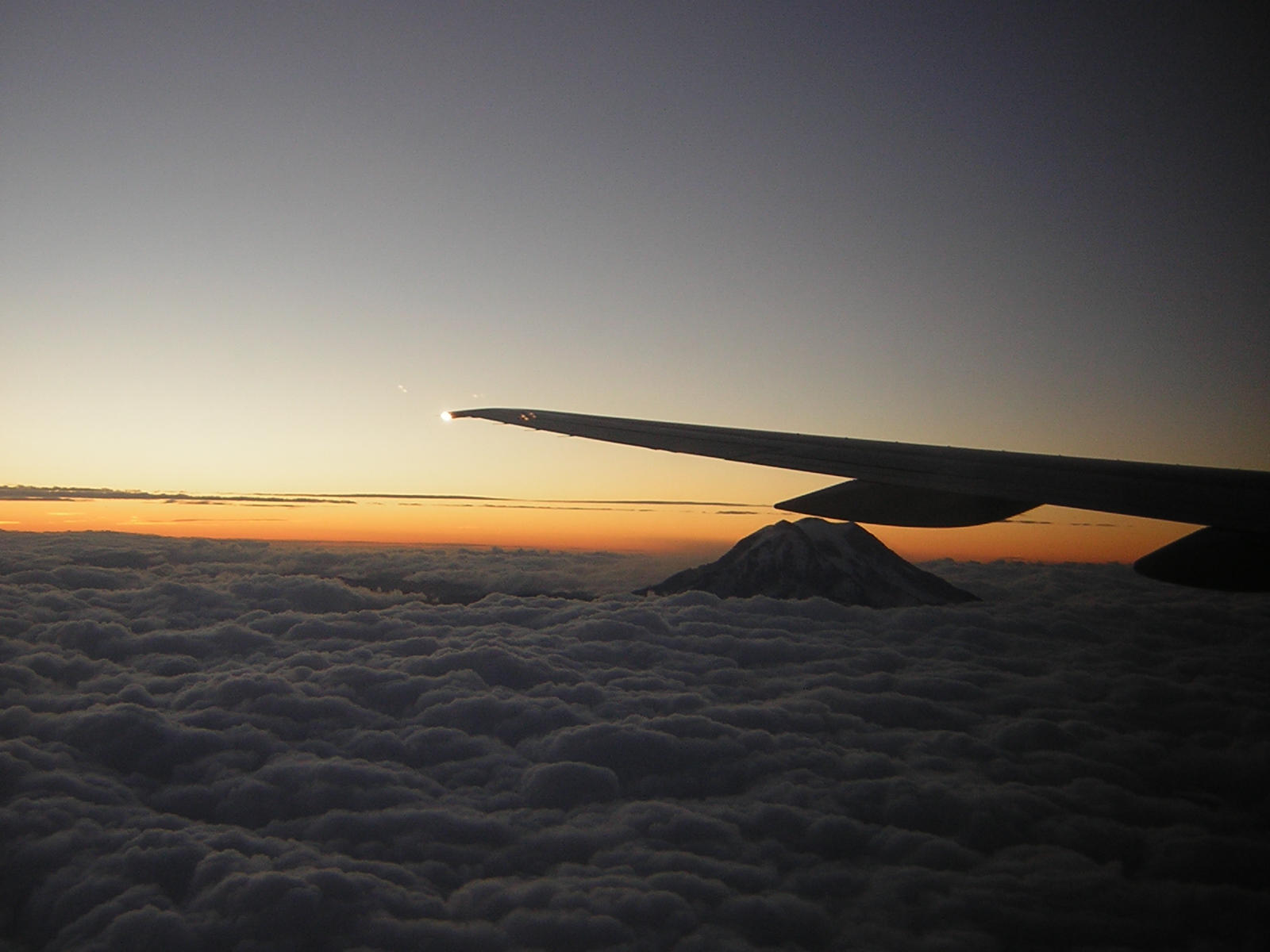 DSCN2737.jpg