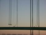 DSCN3646.jpg
