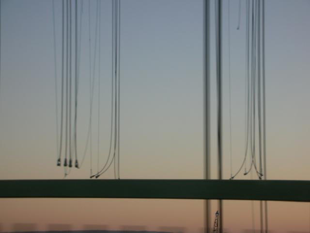 DSCN3646.jpg