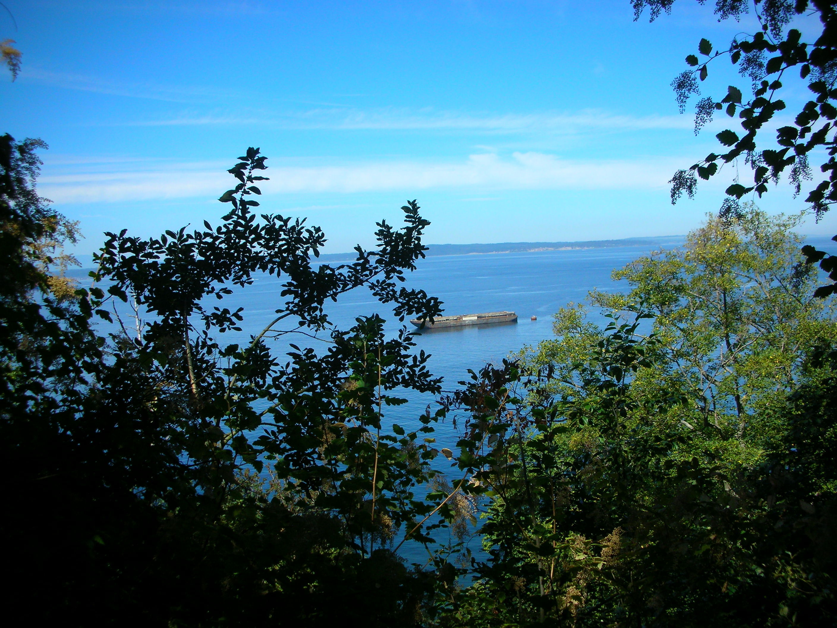 DSCN3657.jpg