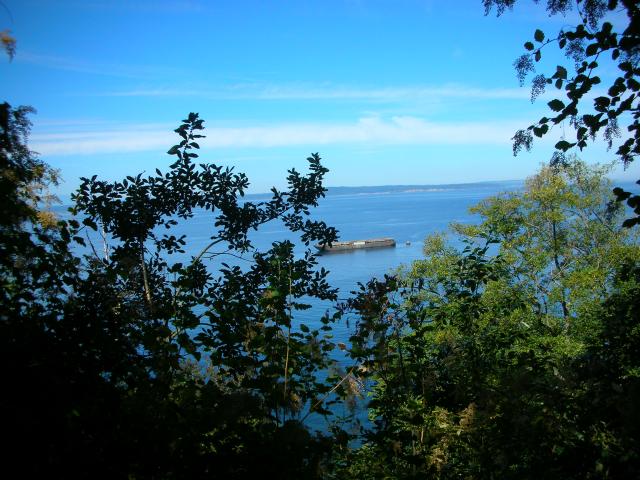 DSCN3657.jpg