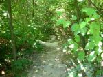 DSCN3658.jpg