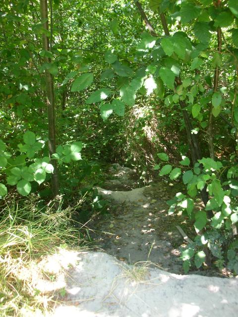 DSCN3659.jpg