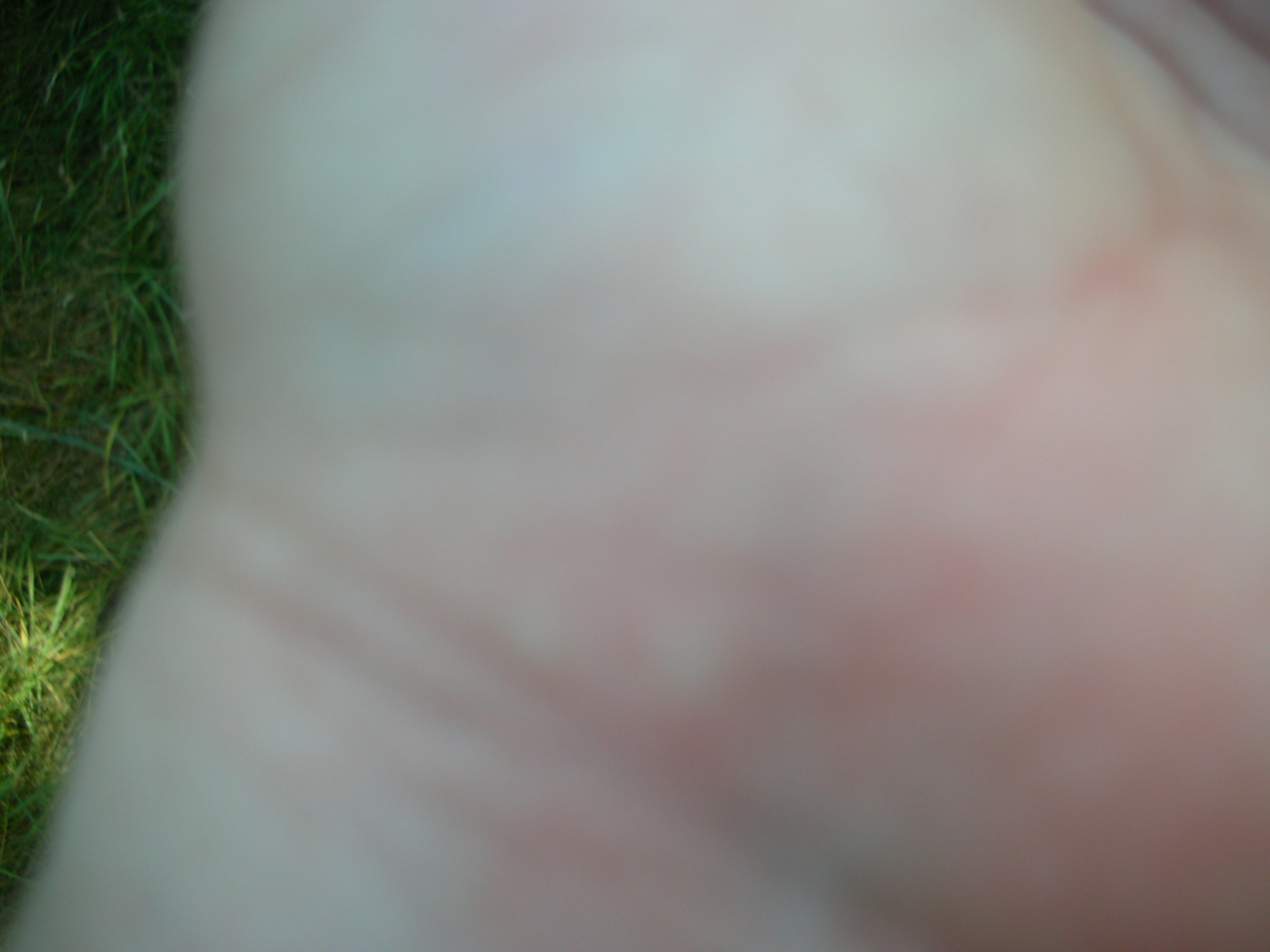 DSCN3660.jpg